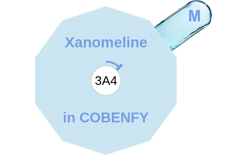 Xanomeline ballicule: receptor binding, kinetics and half-life diagram