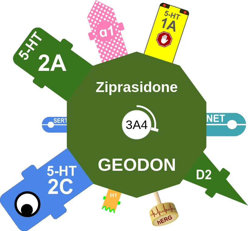 Ziprasidone ballicule: receptor binding, kinetics and half-life diagram