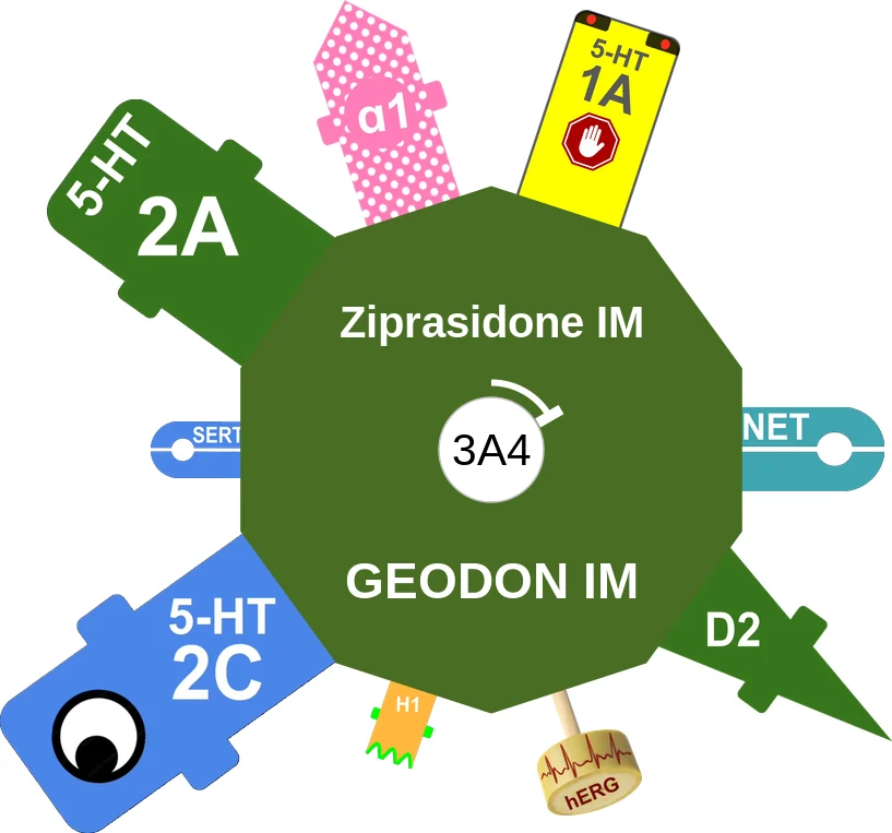 Ziprasidone IM ballicule: receptor binding, kinetics and half-life diagram