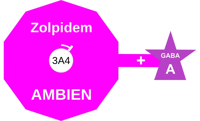 Zolpidem ballicule: receptor binding, kinetics and half-life diagram