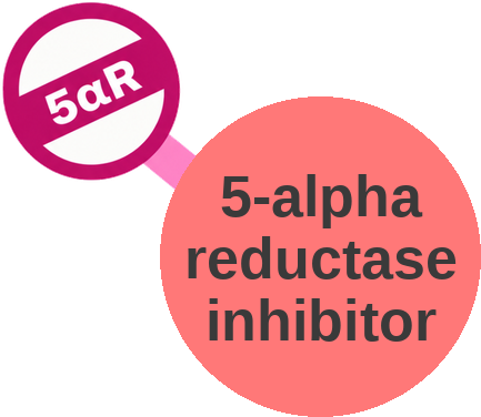 5-alpha reductase inhibitor — mechanism peg (Ballicules)