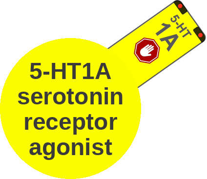 5-HT1A serotonin receptor agonist — mechanism peg (Ballicules)