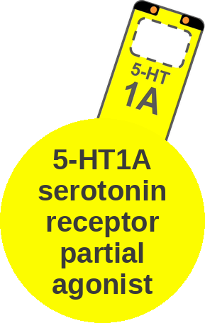 5-HT1A serotonin receptor partial agonist — mechanism peg (Ballicules)