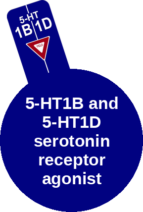 5-HT1B and 5-HT1D serotonin receptor agonist — mechanism peg (Ballicules)