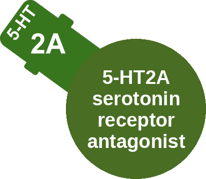 5-HT2A serotonin receptor antagonist — mechanism peg (Ballicules)