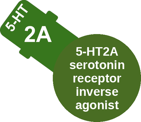 5-HT2A serotonin receptor inverse agonist — mechanism peg (Ballicules)