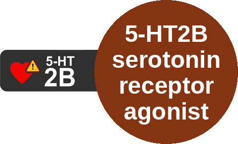 5-HT2B serotonin receptor agonist — mechanism peg (Ballicules)
