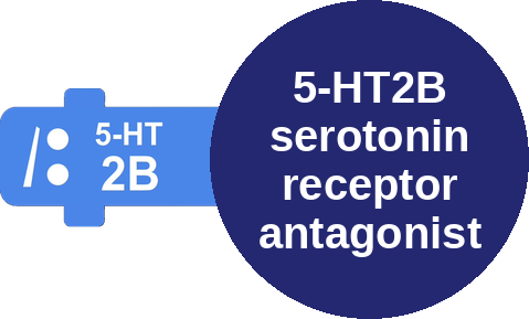 5-HT2B serotonin receptor antagonist — mechanism peg (Ballicules)