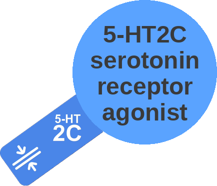 5-HT2C serotonin receptor agonist — mechanism peg (Ballicules)