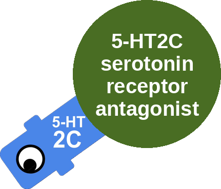 5-HT2C serotonin receptor antagonist — mechanism peg (Ballicules)