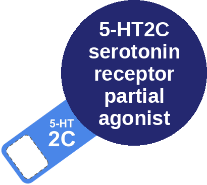 5-HT2C serotonin receptor partial agonist — mechanism peg (Ballicules)