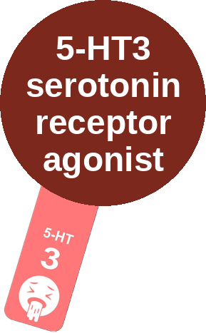 5-HT3 serotonin receptor agonist — mechanism peg (Ballicules)