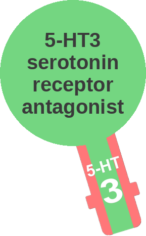 5-HT3 serotonin receptor antagonist — mechanism peg (Ballicules)