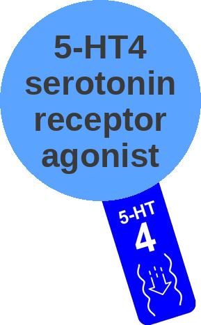 5-HT4 serotonin receptor agonist — mechanism peg (Ballicules)