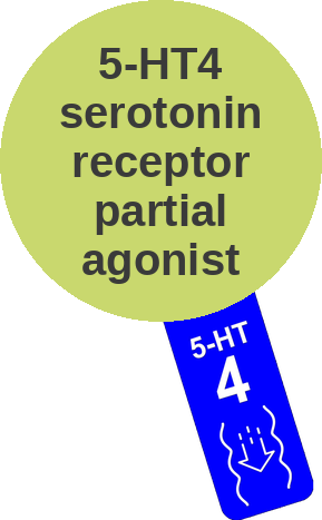 5-HT4 serotonin receptor partial agonist — mechanism peg (Ballicules)