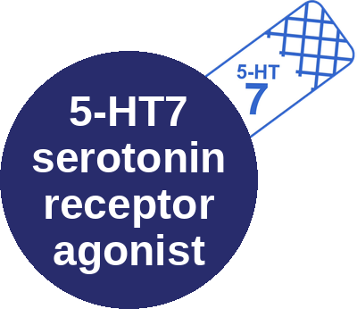 5-HT7 serotonin receptor agonist — mechanism peg (Ballicules)