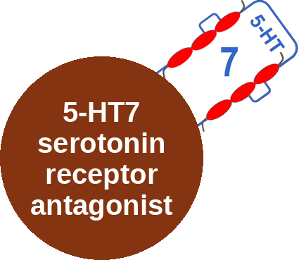 5-HT7 serotonin receptor antagonist — mechanism peg (Ballicules)