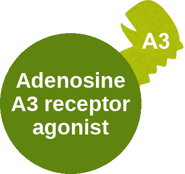 Adenosine A3 receptor agonist — mechanism peg (Ballicules)