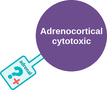 Adrenocortical cytotoxic — mechanism peg (Ballicules)