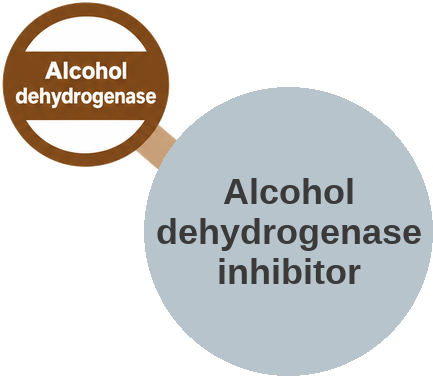 Blocks the first step of toxic-alcohol metabolism — mechanism peg (Ballicules)