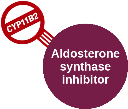 Aldosterone synthase inhibitor — mechanism peg (Ballicules)