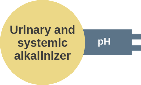 Urinary and systemic alkalinizer — mechanism peg (Ballicules)