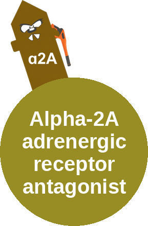 Alpha-2A adrenergic receptor antagonist — mechanism peg (Ballicules)