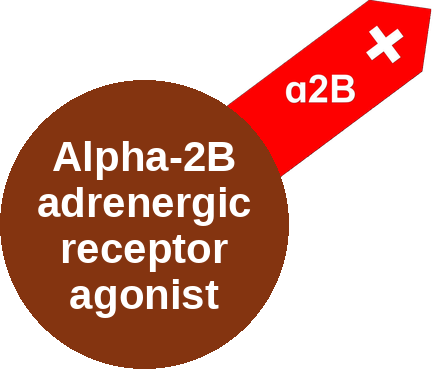 Alpha-2B adrenergic receptor agonist — mechanism peg (Ballicules)