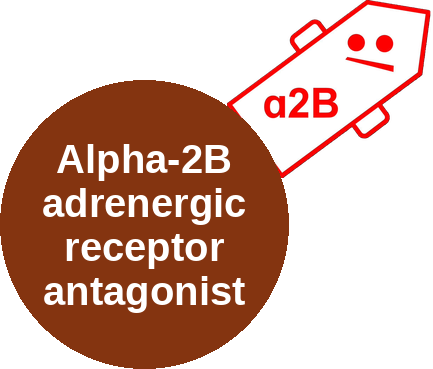 Alpha-2B adrenergic receptor antagonist — mechanism peg (Ballicules)