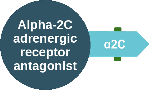 Alpha-2C adrenergic receptor antagonist — mechanism peg (Ballicules)