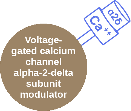 Voltage-gated calcium channel alpha-2-delta subunit modulator — mechanism peg (Ballicules)