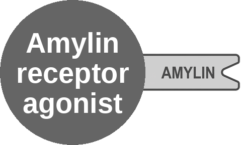 Amylin receptor agonist — mechanism peg (Ballicules)