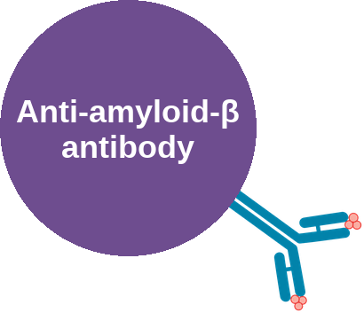 Anti-amyloid-β antibody — mechanism peg (Ballicules)