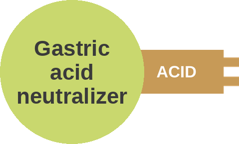 Gastric acid neutralizer — mechanism peg (Ballicules)