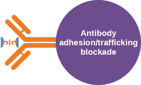 Antibody adhesion/trafficking blockade — mechanism peg (Ballicules)