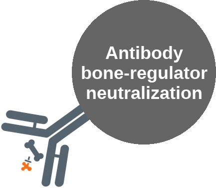 Antibody bone-regulator neutralization — mechanism peg (Ballicules)