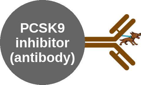 PCSK9 inhibitor (antibody) — mechanism peg (Ballicules)