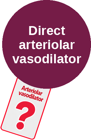 Direct arteriolar vasodilator — mechanism peg (Ballicules)