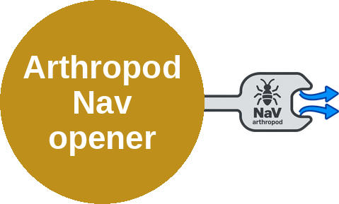 Arthropod sodium channel prolonged opener — mechanism peg (Ballicules)