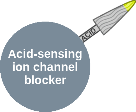 Acid-sensing ion channel blocker — mechanism peg (Ballicules)