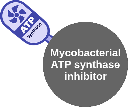 Shuts off mycobacterial energy production at the last step — mechanism peg (Ballicules)