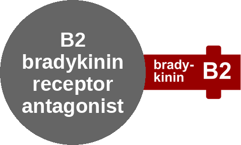 B2 bradykinin receptor antagonist — mechanism peg (Ballicules)