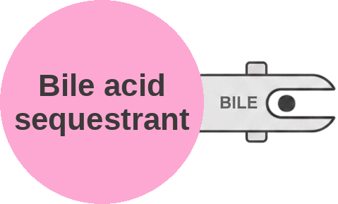 Bile acid sequestrant — mechanism peg (Ballicules)