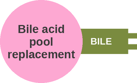 Bile acid pool replacement — mechanism peg (Ballicules)