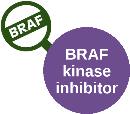 BRAF kinase inhibitor — mechanism peg (Ballicules)