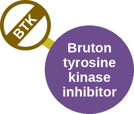 Bruton tyrosine kinase inhibitor — mechanism peg (Ballicules)