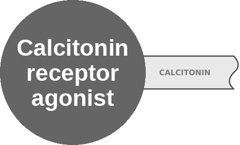 Calcitonin receptor agonist — mechanism peg (Ballicules)