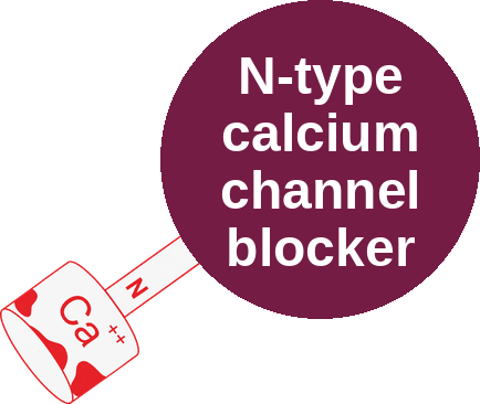 N-type calcium channel blocker — mechanism peg (Ballicules)