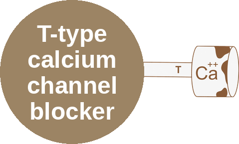 T-type calcium channel blocker — mechanism peg (Ballicules)