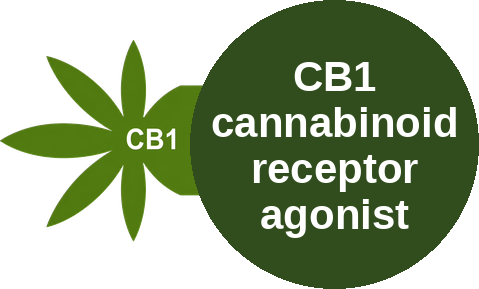 CB1 cannabinoid receptor agonist — mechanism peg (Ballicules)